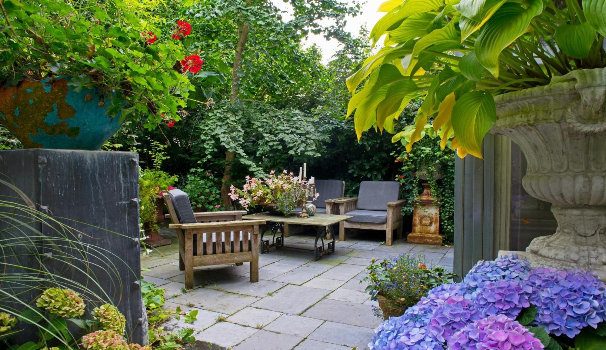 Suite Garden View,239163093:JPEG